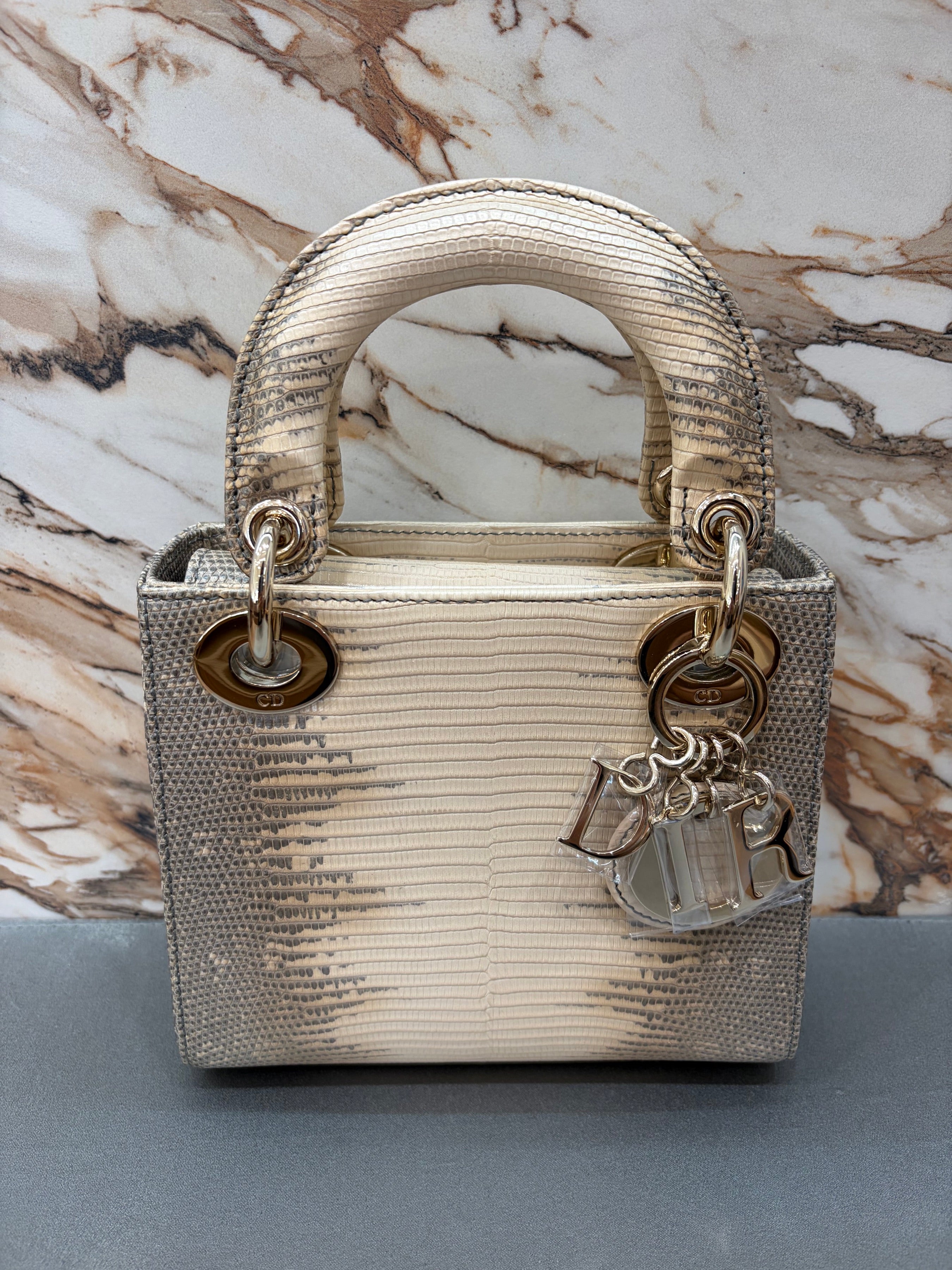 N/A Dior Mini Lady Lizard